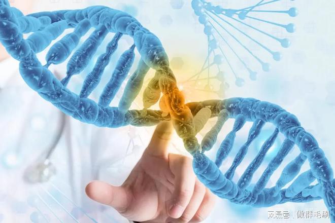 洁刷：“刷” 出生物医药领域洁净新高度PG电子麻将胡了2模拟器傲群医疗器械清(图2)